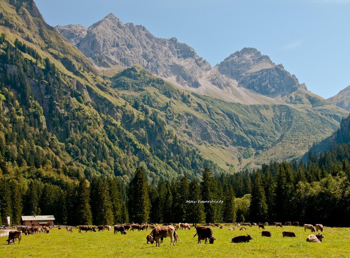 Landhaus Aigner-Vogler Fischen im Allgaeu Extérieur photo